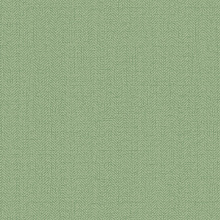 Зелёные обои для стен Alessandro Allori Bruni 1002-37 RBN