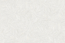 Andrea Rossi Palmaria 54471-1